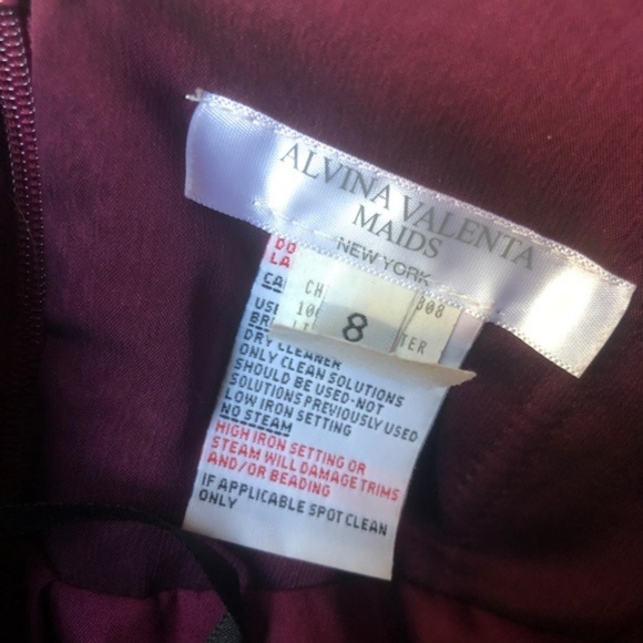 Alvina Valenta strapless bridesmaid/cocktail dress - Picture 7 of 8